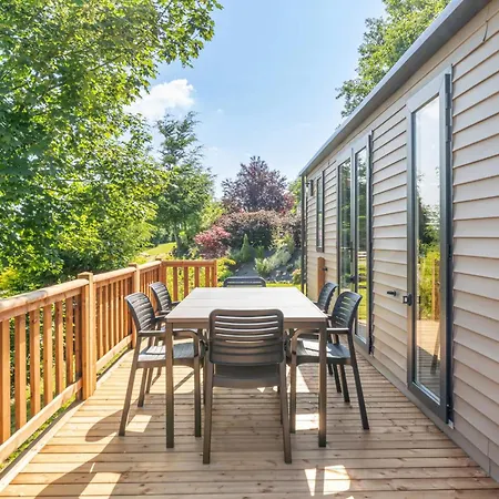 Papillon - Buena Vista Bouillon