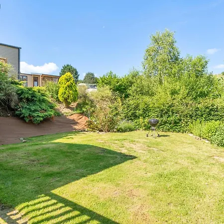 Papillon - Buena Vista Bouillon