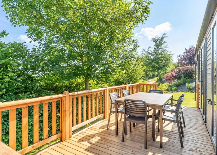 Papillon - Buena Vista