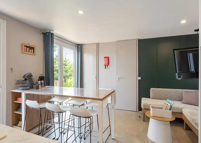 Papillon - Buena Vista Bouillon