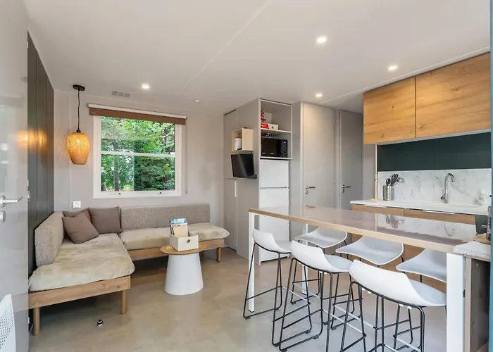 Papillon - Buena Vista Chalet