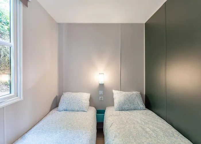 Papillon - Buena Vista *