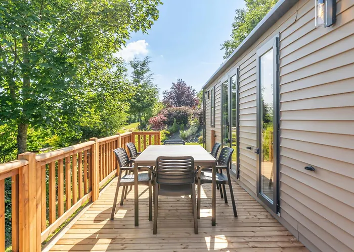 Papillon - Buena Vista بوالون