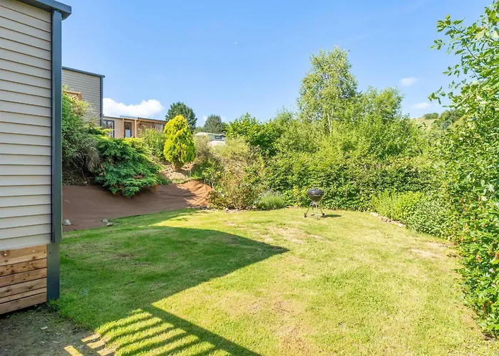 Papillon - Buena Vista بوالون